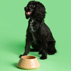Mason Cash Earthenware Non Tip Dog Bowl with Black Dog